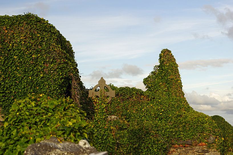 Ruïnes van de middeleeuwse kerk van Kilmacreehy van Babetts Bildergalerie