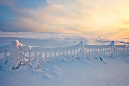 Winter landschap met besneeuwd hek tijdens zonsopkomst