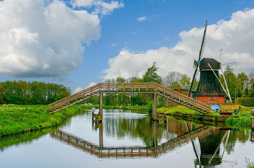 Hoogholtje en molen in de provincie Groningen van Patricia Hofmeester