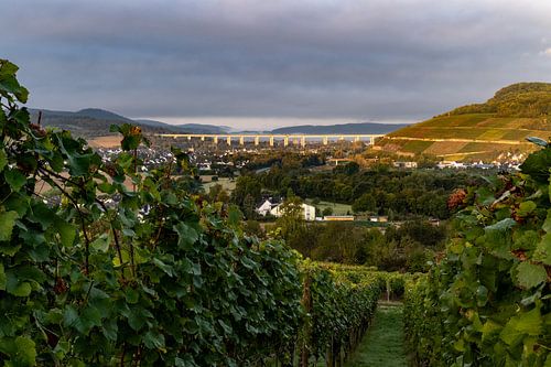 Uitzicht op de Ahr vallei van Heinz Grates