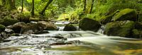 Golitha Falls , Cornwall - long exposure