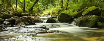 Golitha Falls , Cornwall - long exposure