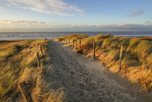Duin en strand aan de kust van Nederland