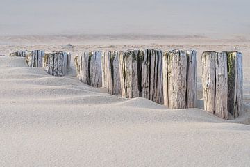 Golfbrekers verdwijnen in het strand van Marjolijn van den Berg