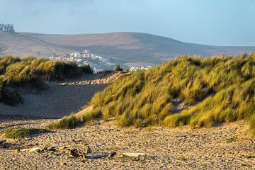 Wilde grasduinen - Morro Bay Californië van Joseph S Giacalone Photography