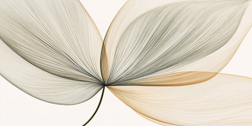 Large flower by Bert Nijholt