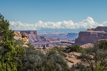 Canyon lands Utah van Robert Dibbits
