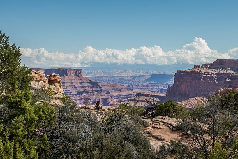 Canyon lands Utah par Robert Dibbits