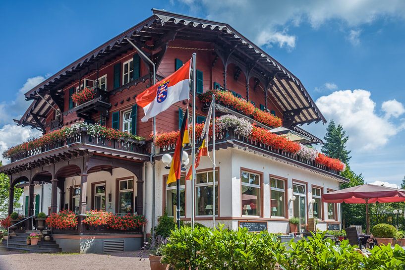 Villa Borgnis im Kurpark von Königstein by Christian Müringer