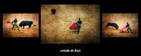 triptych corrida de toros