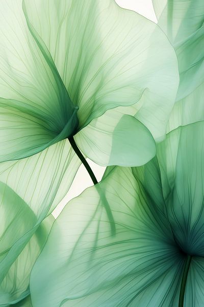 Flowerdance Botanica by Preet Lambon
