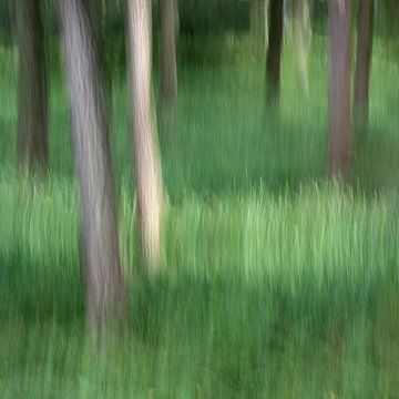 Het bos III van Volker Banken