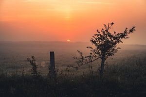 Lever de soleil dans un champ
