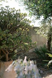 zurücklehnen und genießen