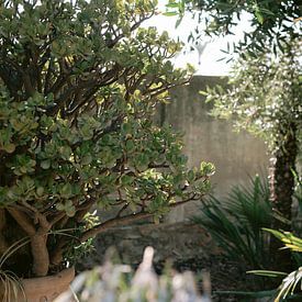 zurücklehnen und genießen von Bo Theijs