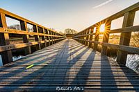 Building Bridges