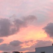 Jill Couwenberg Profilfoto