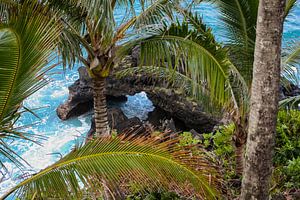 Côte de lave sur Maui