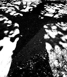 Tree Magic 34