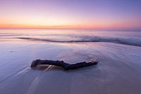 Oostzeestrand in Zweden