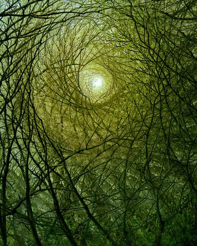 A kaleidoscope of trees and branches in shades of green and yellow