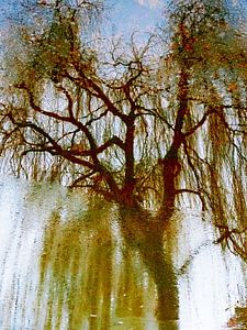 Tree Magic 196