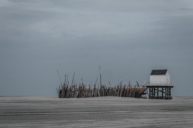 Kraaiennest op het strand von Jasper Scheffers