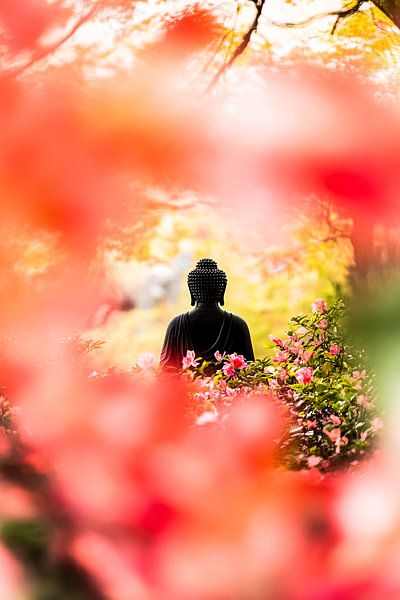Buddha zwischen bunten Blumen von Imperial Art House