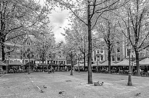 Leidseplein in Amsterdam