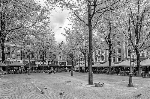 The Leidseplein Amsterdam.