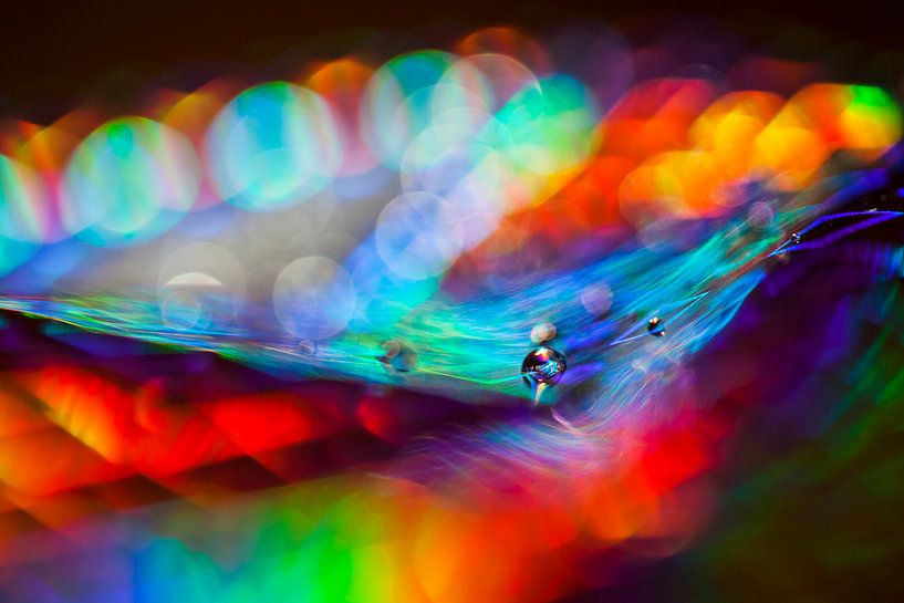 Folien-Kunst von Rob Boon