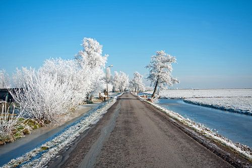 Winter op het platteland in Nederland