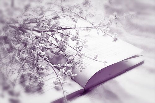 Nature morte avec livre et fleurs