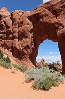 Und am Ende Des Pfads ist der Pine Tree Arch