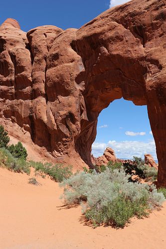And at the end of the trail is the Pine Tree Arch...