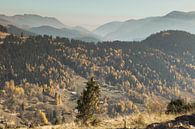 Kleurrijk herfstbos in de bergen van Boge, Kosovo van Besa Art thumbnail