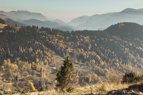 Forêt d'automne colorée dans les montagnes de Boge, Kosovo