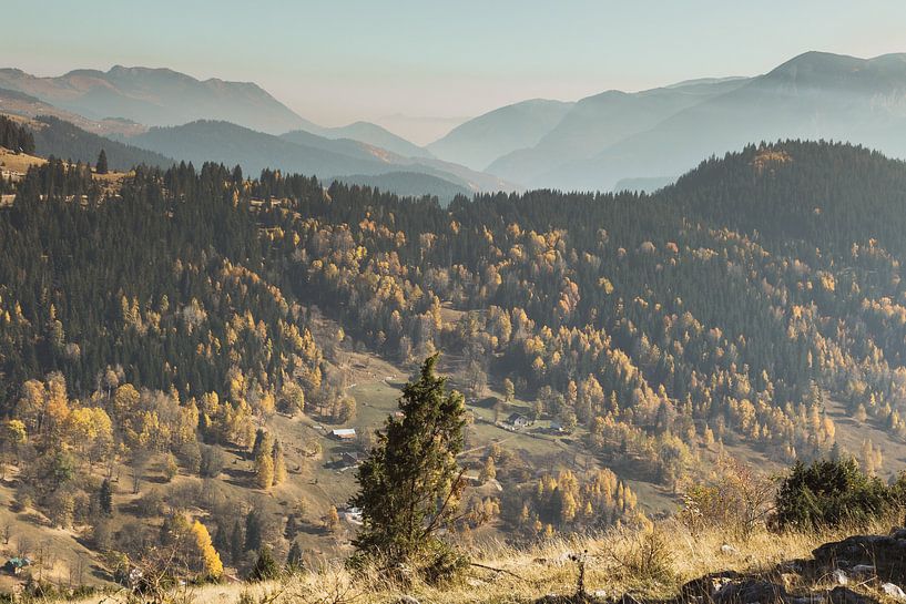 Bunter Herbstwald in den Bergen von Boge, Kosovo von Besa Art