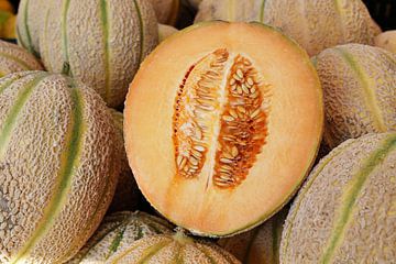 Honigmelone 2.0