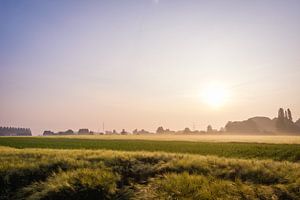 Sonnenaufgang über dem Feld in Hasselt