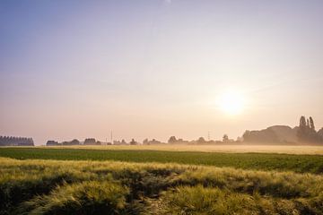 Zonsopkomst boven veld in Hasselt van Johan Vanbockryck
