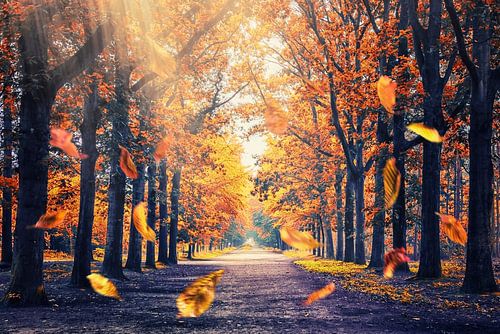 Herbstlicht