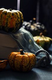 Silhouette de citrouille sur fond noir