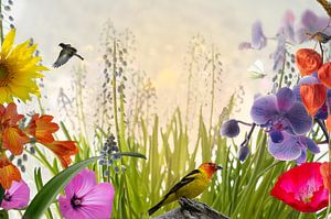 Birds, Flowers & Butterflies van Leon Brouwer