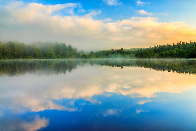 a morning in August by Daniela Beyer