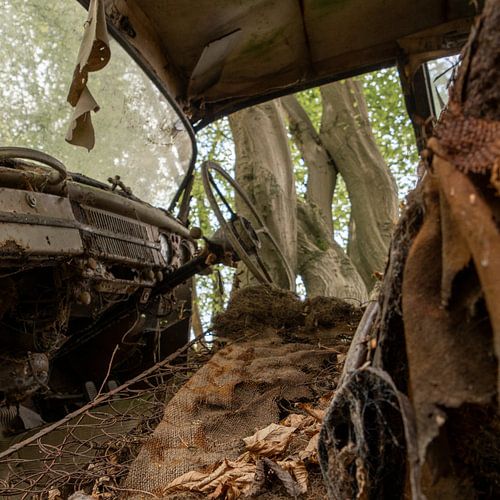 Made to drive, doomed to rot