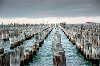 Princes Pier, Melbourne, Australië van The Book of Wandering thumbnail