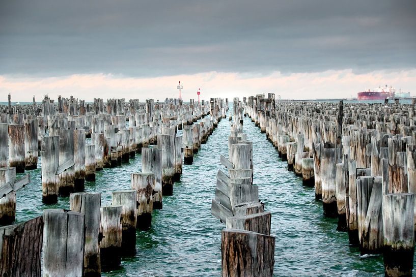 Princes Pier, Melbourne, Australië van The Book of Wandering
