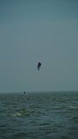 windsurfer