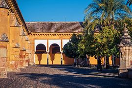 Córdoba – Mezquita / Patio de los Naranjos by Alexander Voss